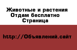 Животные и растения Отдам бесплатно - Страница 8 